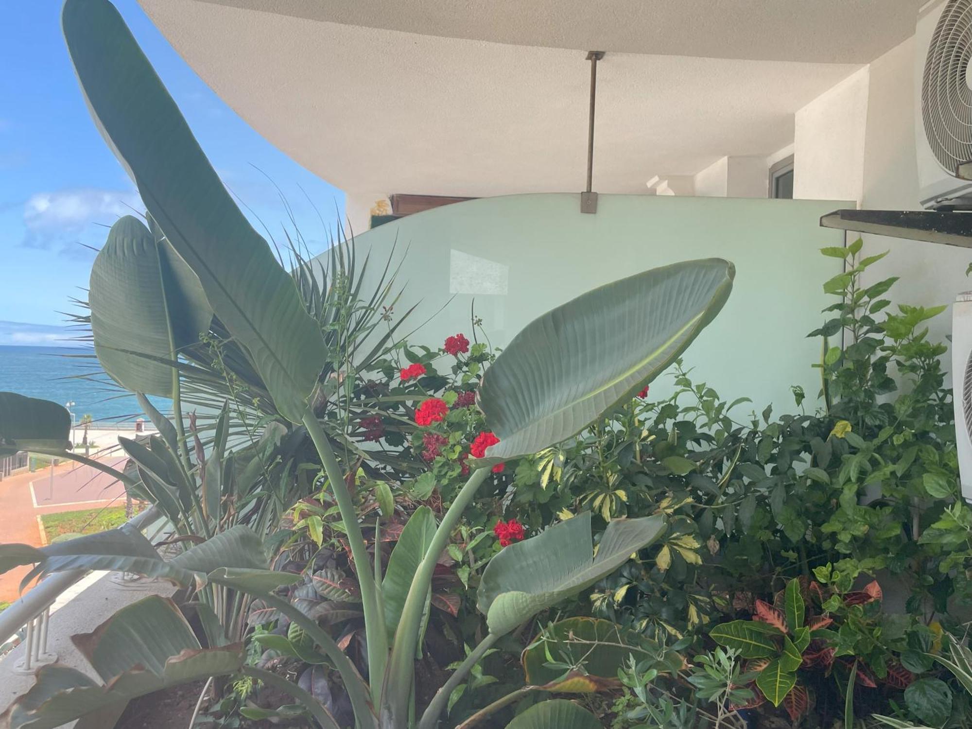 Superb New With View & Free Parking Appartement *